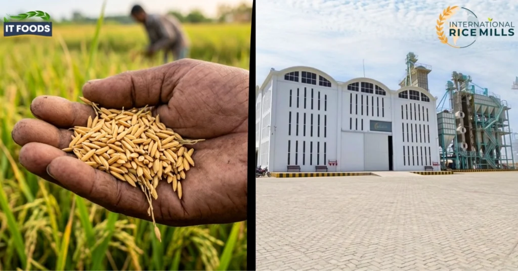 IT Foods setting the gold standard as the premier certified rice exporter in Pakistan for global B2B buyers.